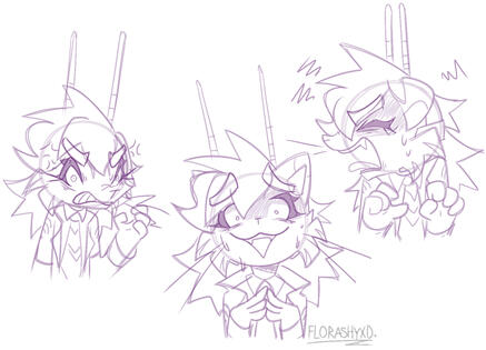 anne expressions test (2026)